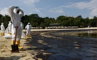 Пролив нефти угрожает морскому заповеднику у побережья южного Сингапура